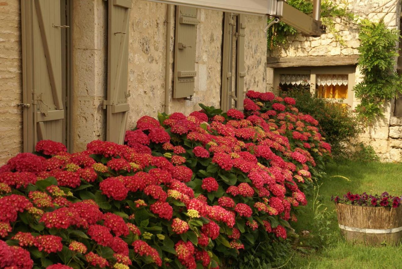 Domaine du Merlot - Bed and Breakfast Sainte-Sabine