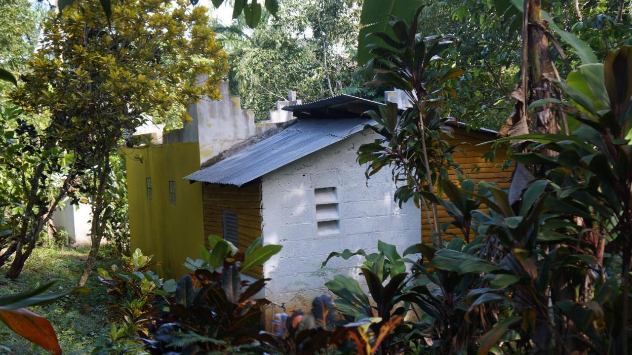 One-Bedroom Bungalow