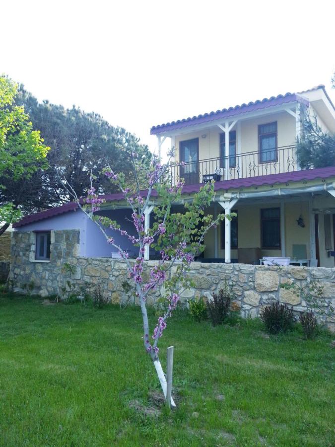 B&B Tenedos - Nar Bağevi - Bed and Breakfast Tenedos