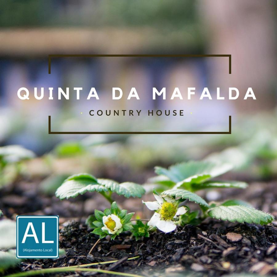 Quinta da Mafalda - B&B Mira