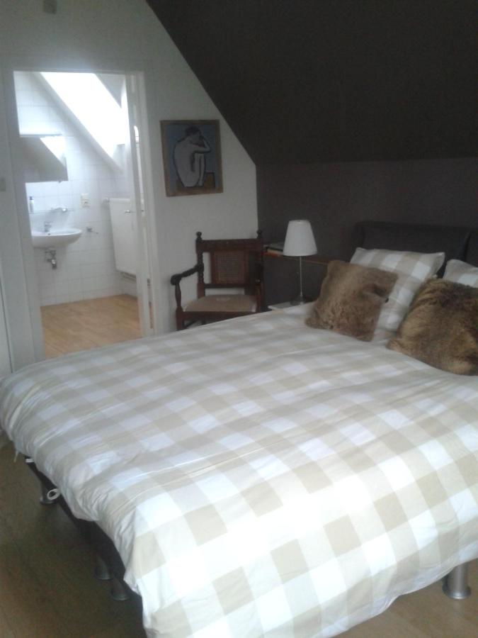 Kamer met Kingsize Bed