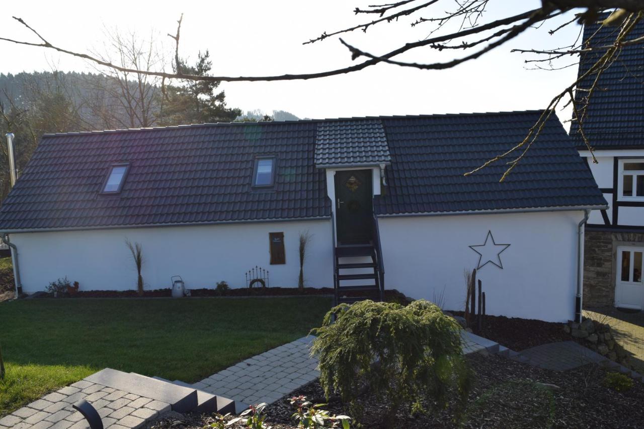 Ferienwohnungen Schneider - Ferienwohnung