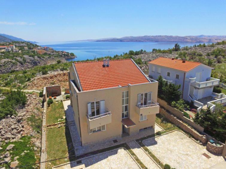 Apartments Golub - B&B Cesarica