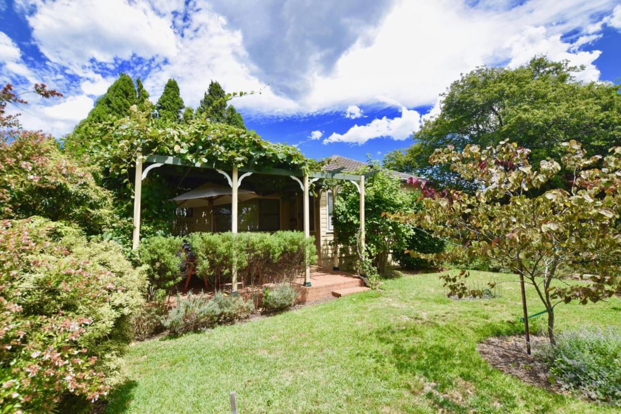 Raspberry Terrace of Leura - B&B
