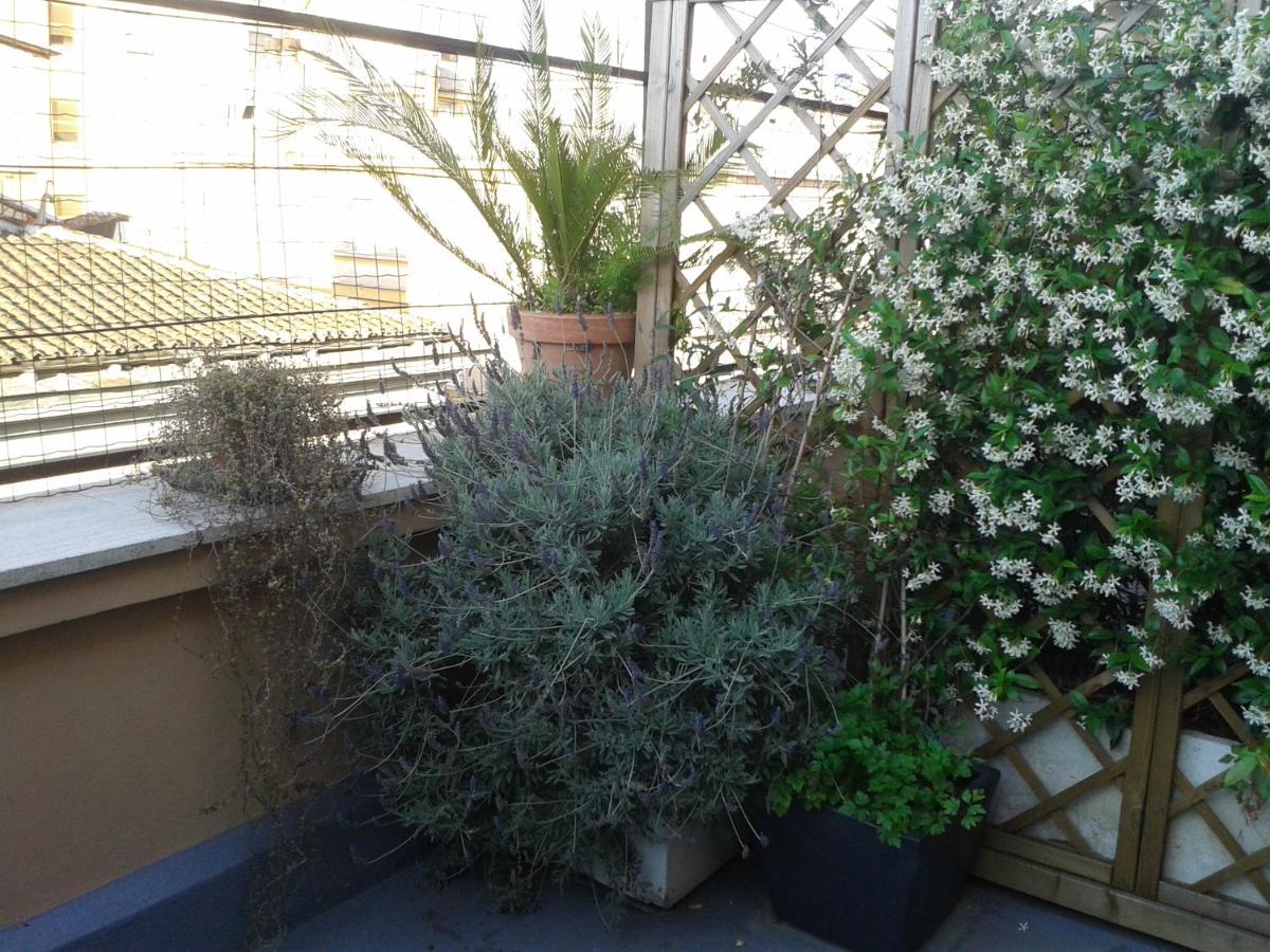 Chiara Rooms - B&B