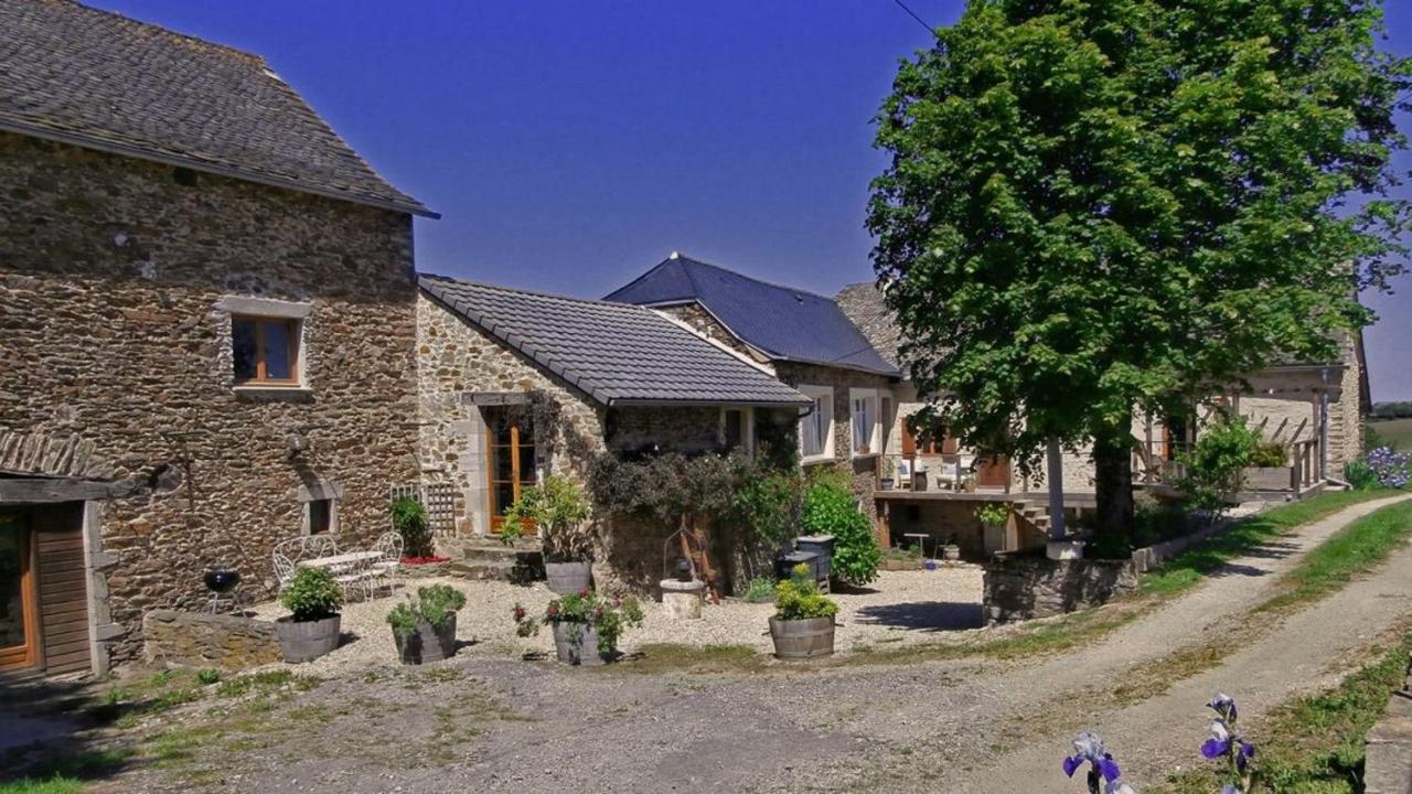 B&B Rieupeyroux - Domaine de Lasfonds - Bed and Breakfast Rieupeyroux