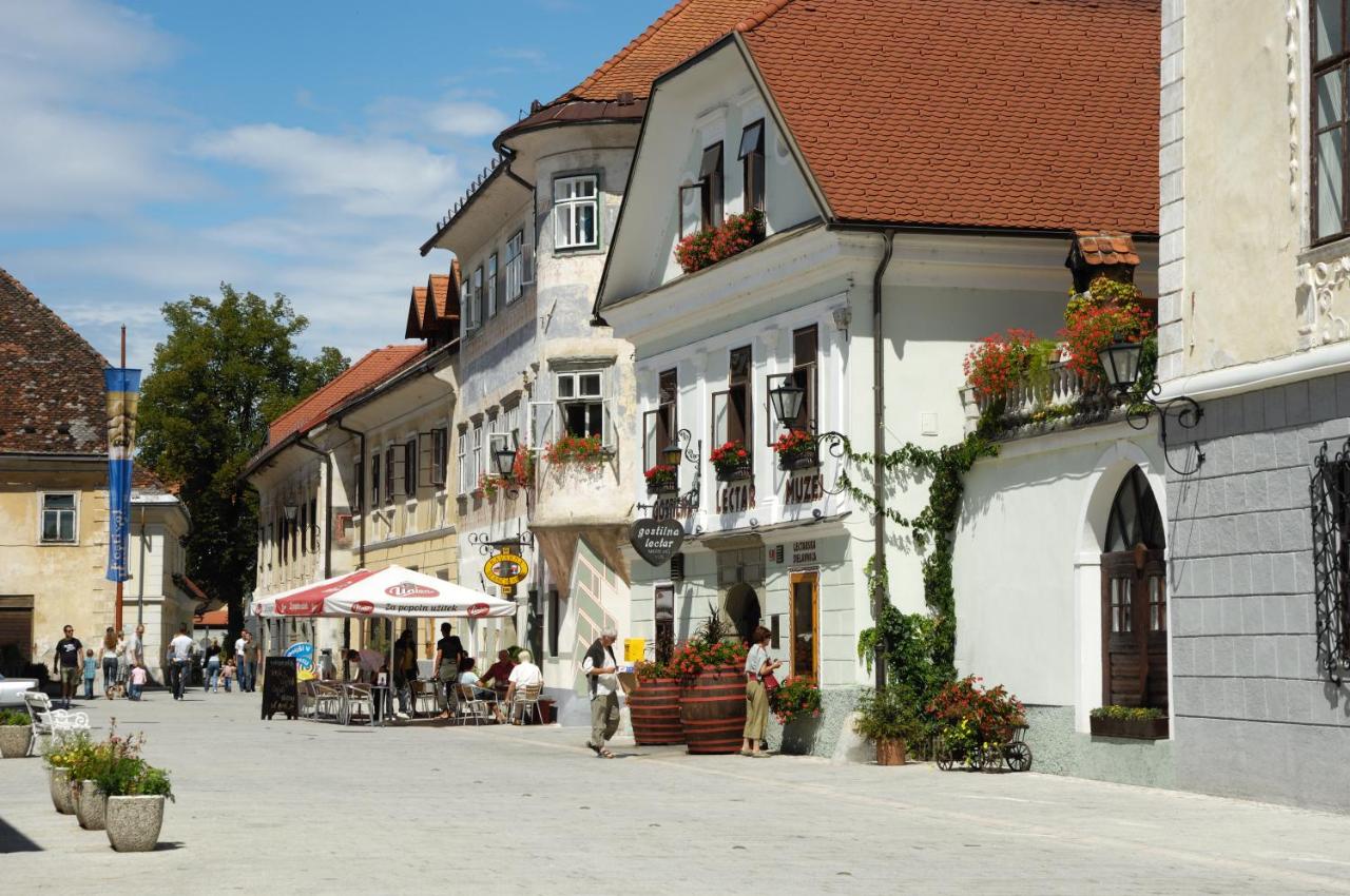 B&B Radovljica - Pension Lectar - Bed and Breakfast Radovljica