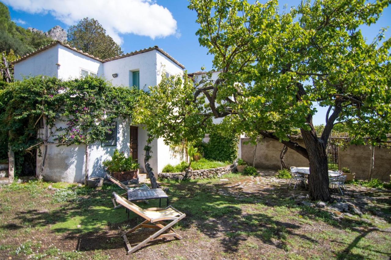 Villa Lindo - B&B Maiori