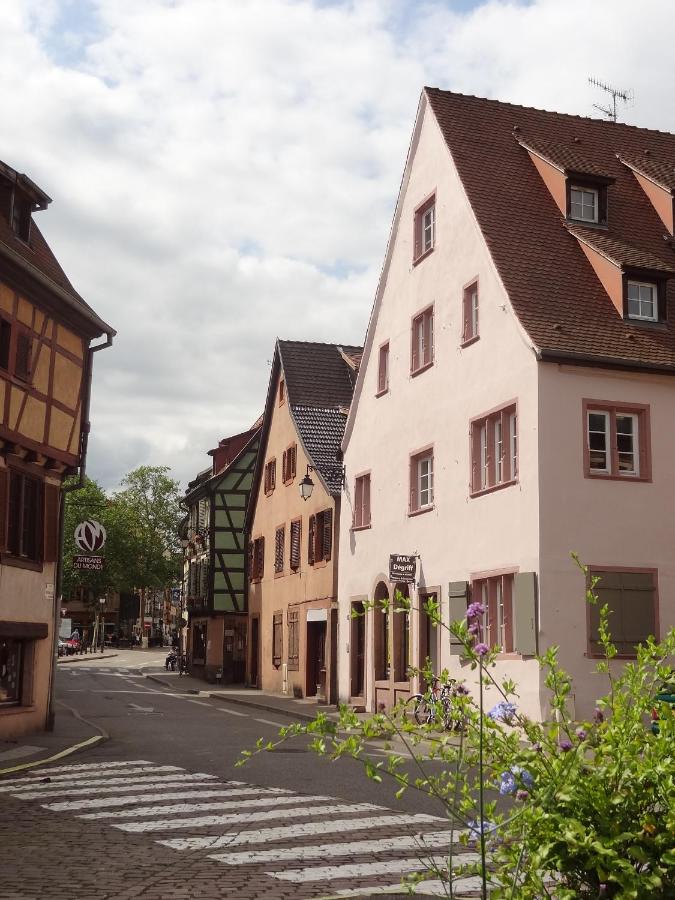 My Sweet Homes - La Grenouillère HYPERCENTRE - Bed and Breakfast Colmar