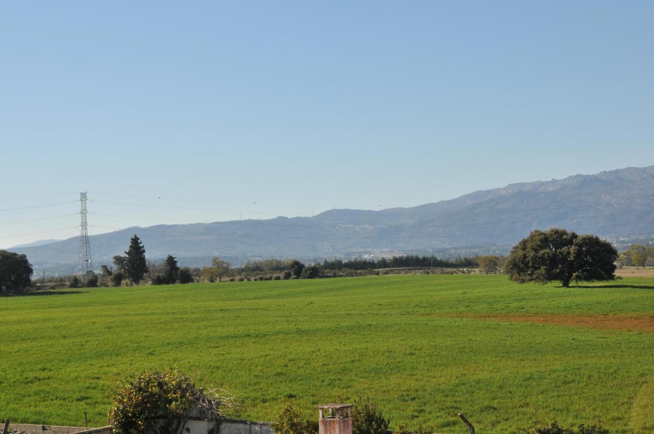 Casa da Lardosa - Bed and Breakfast