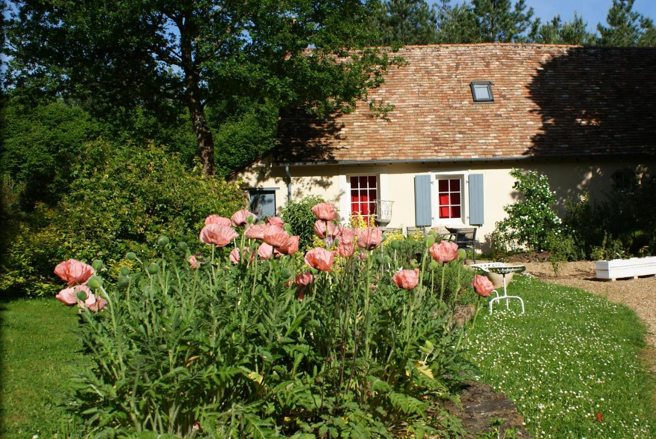 B&B Saint-Jean-du-Bois - La Chaine - Bed and Breakfast Saint-Jean-du-Bois