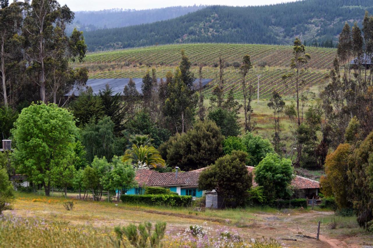 B&B Paredones - Casa Azul de San Pancho - Bed and Breakfast Paredones