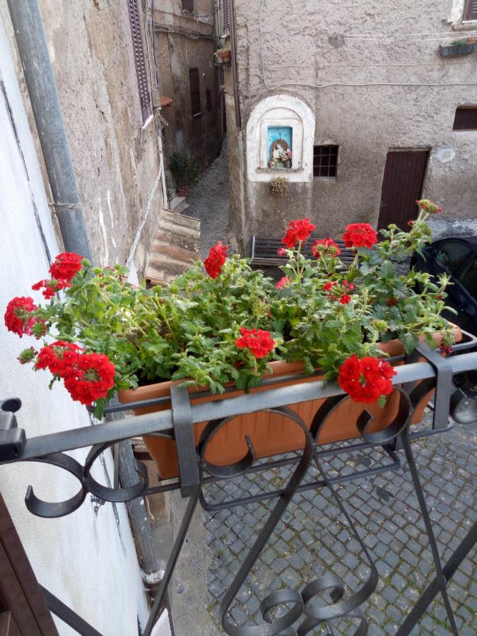 Casa Vacanze