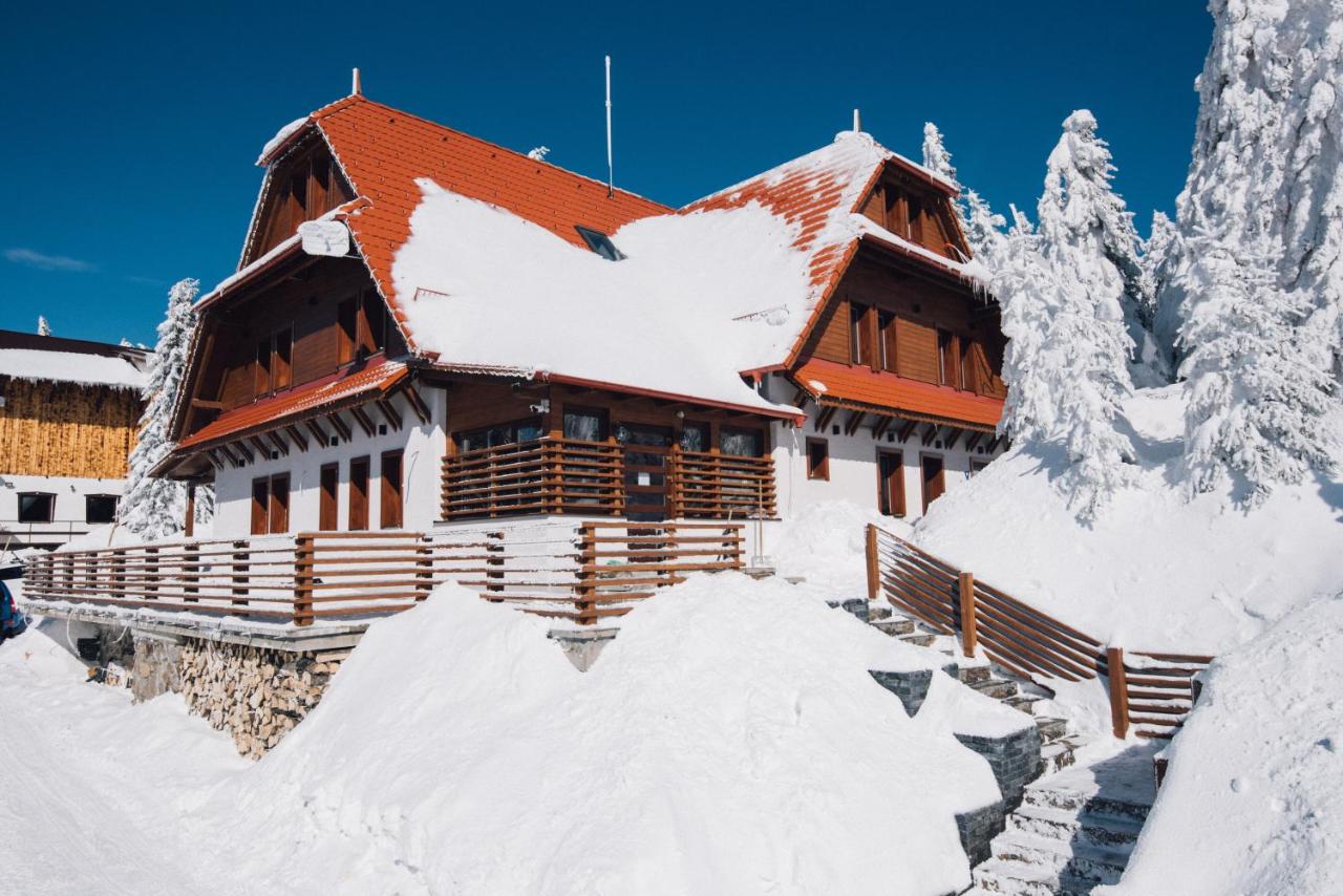 Madarasi Gyopár Panzió - Bed and Breakfast