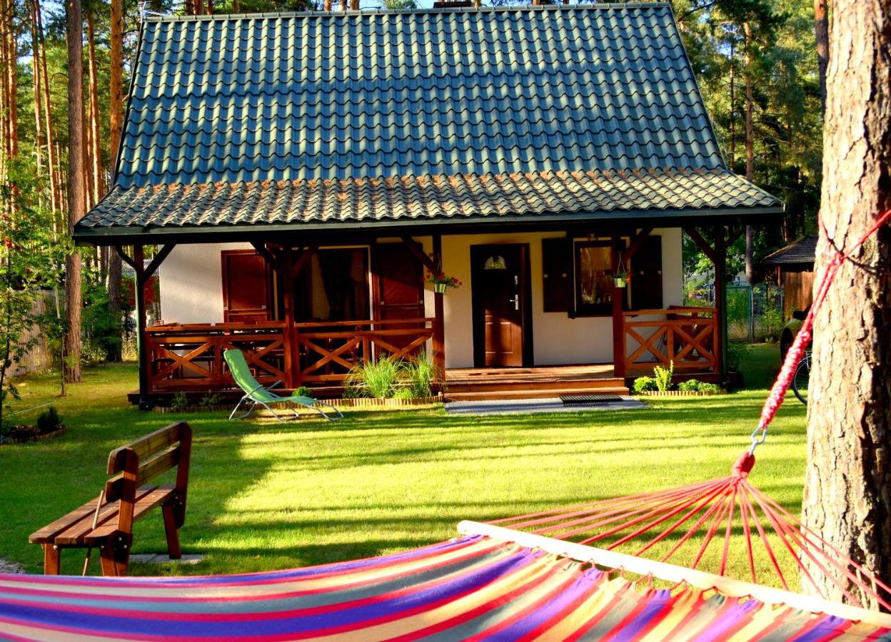 66 Szyszek - B&B