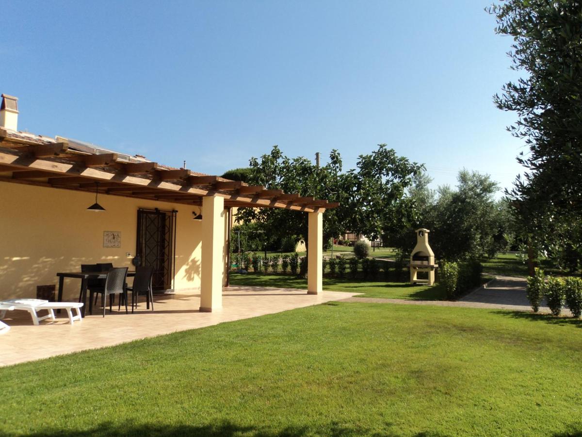 B&B Bolgheri - Agriturismo Dallolivo - Bed and Breakfast Bolgheri