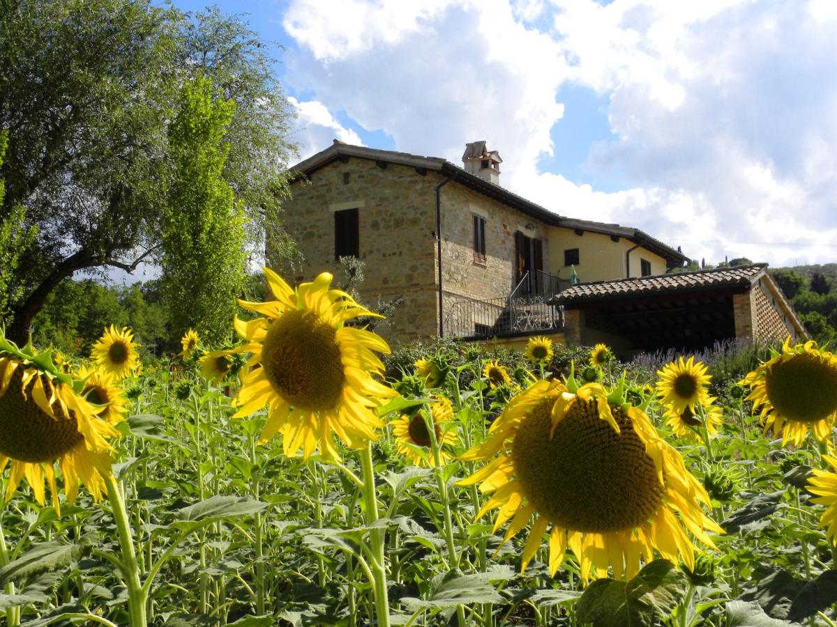 B&B Bevagna - Appartamenti Verde Collina Umbra - Bed and Breakfast Bevagna