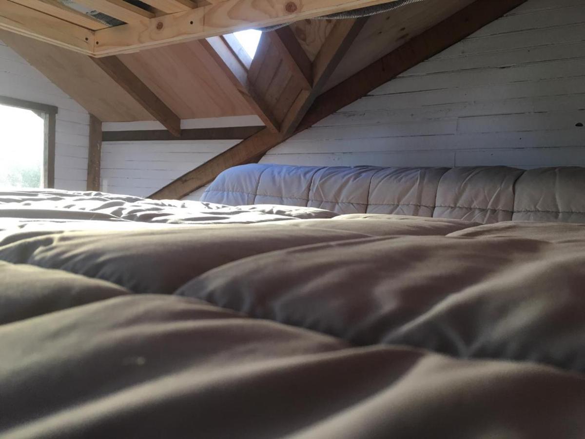 Lit dans Dortoir Mixte de 6 Lits