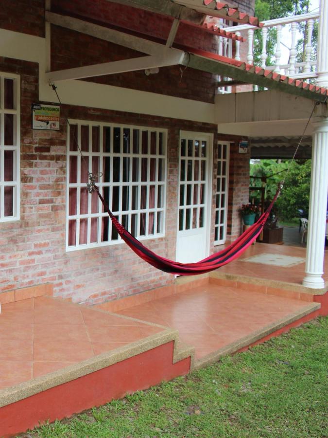 Family Room with Garden View