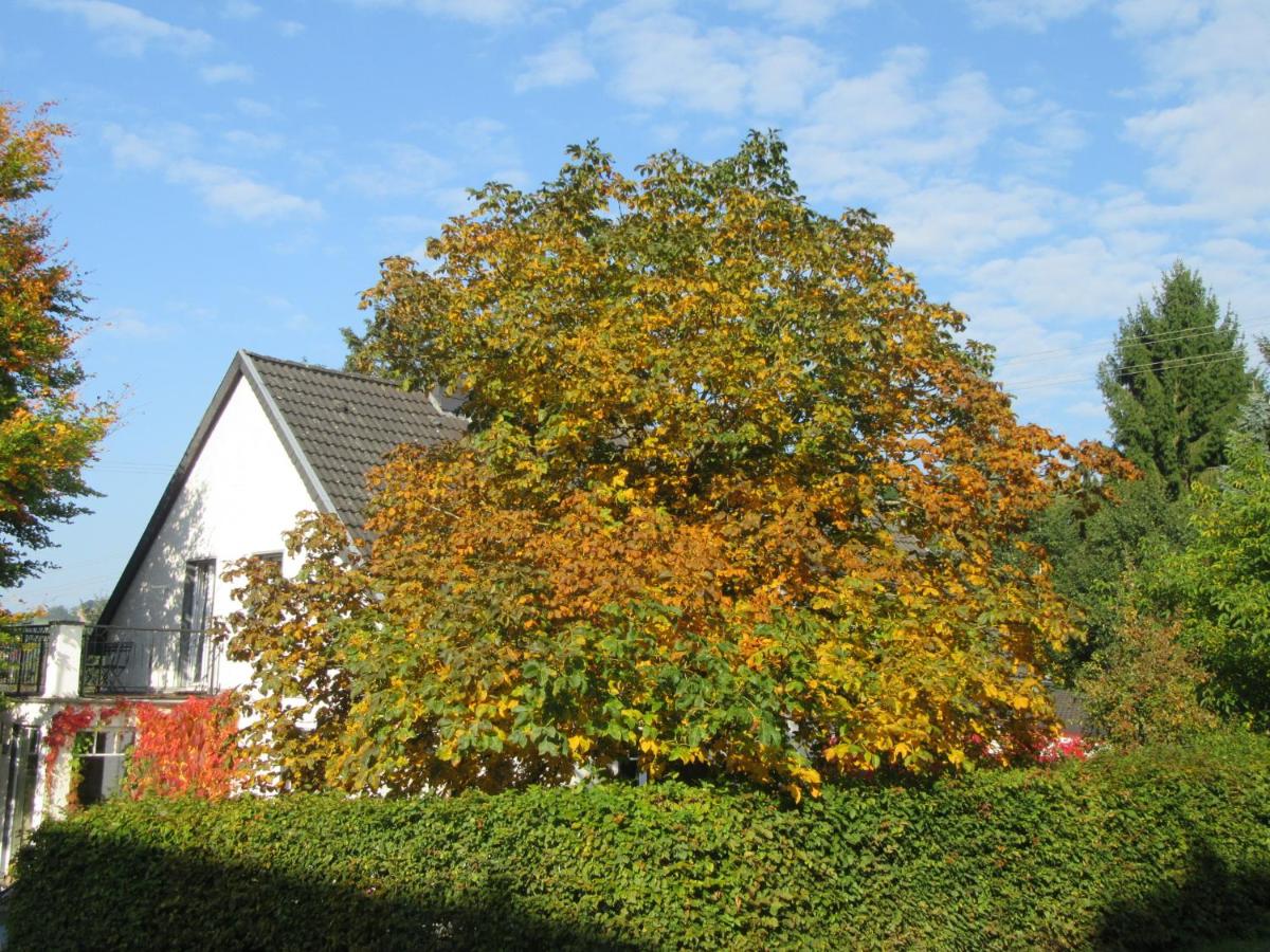 EIFEL Gästewohnung - B&B