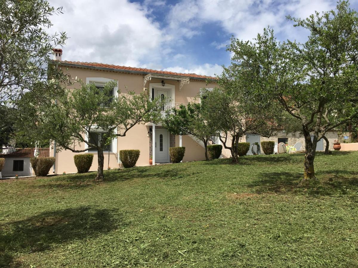 Olive Grove - Ferienwohnung Kalampáka