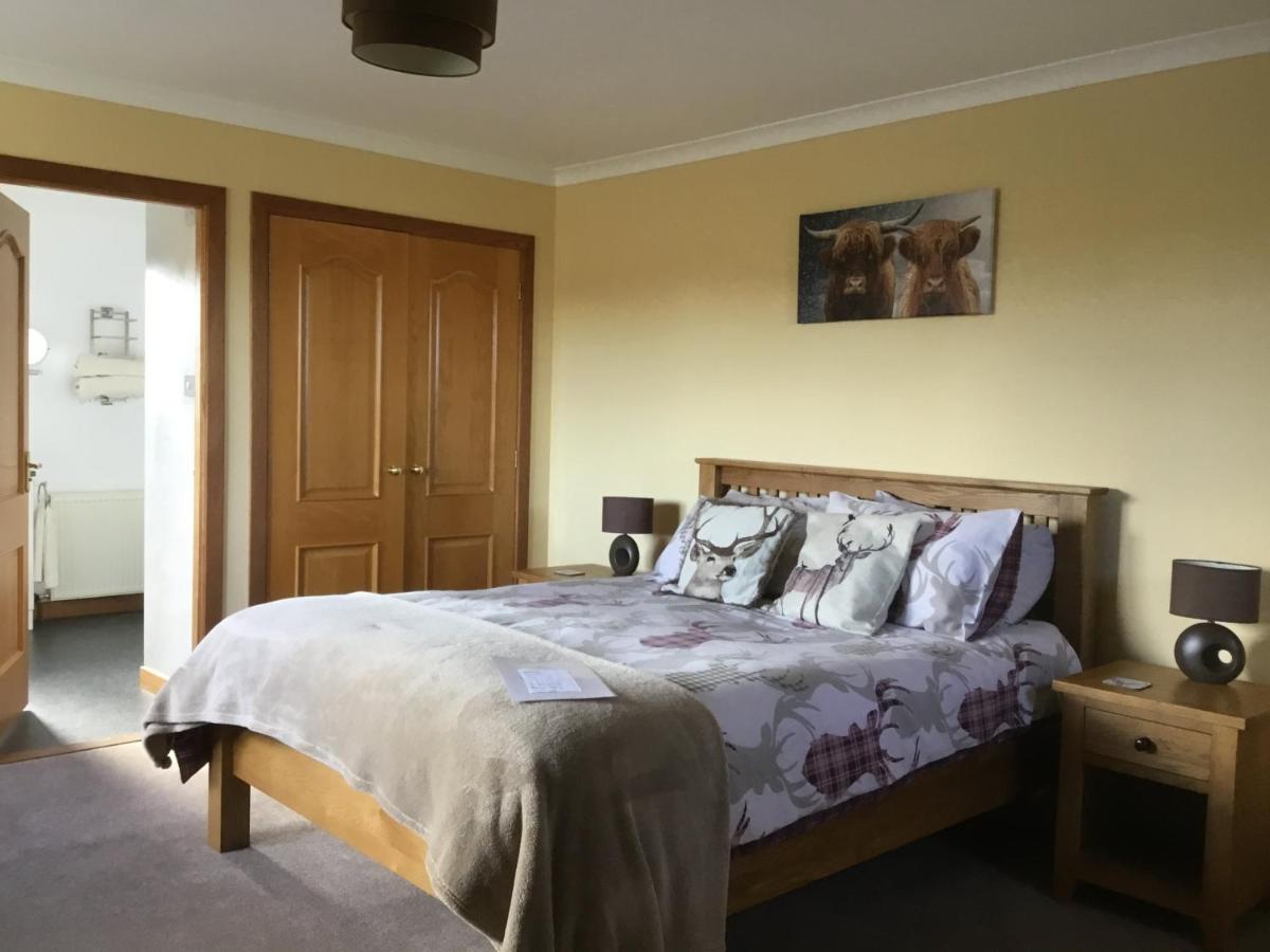 King Room with Garden View