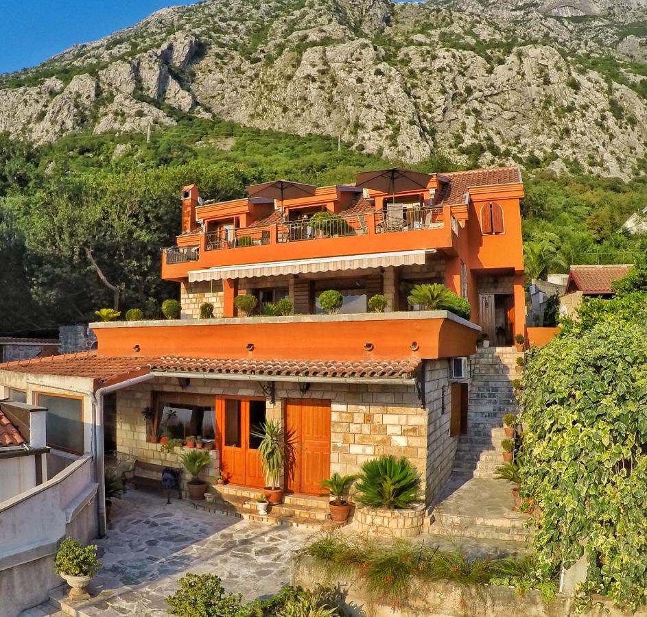 B&B Kotor - Apartments Nikčević - Bed and Breakfast Kotor