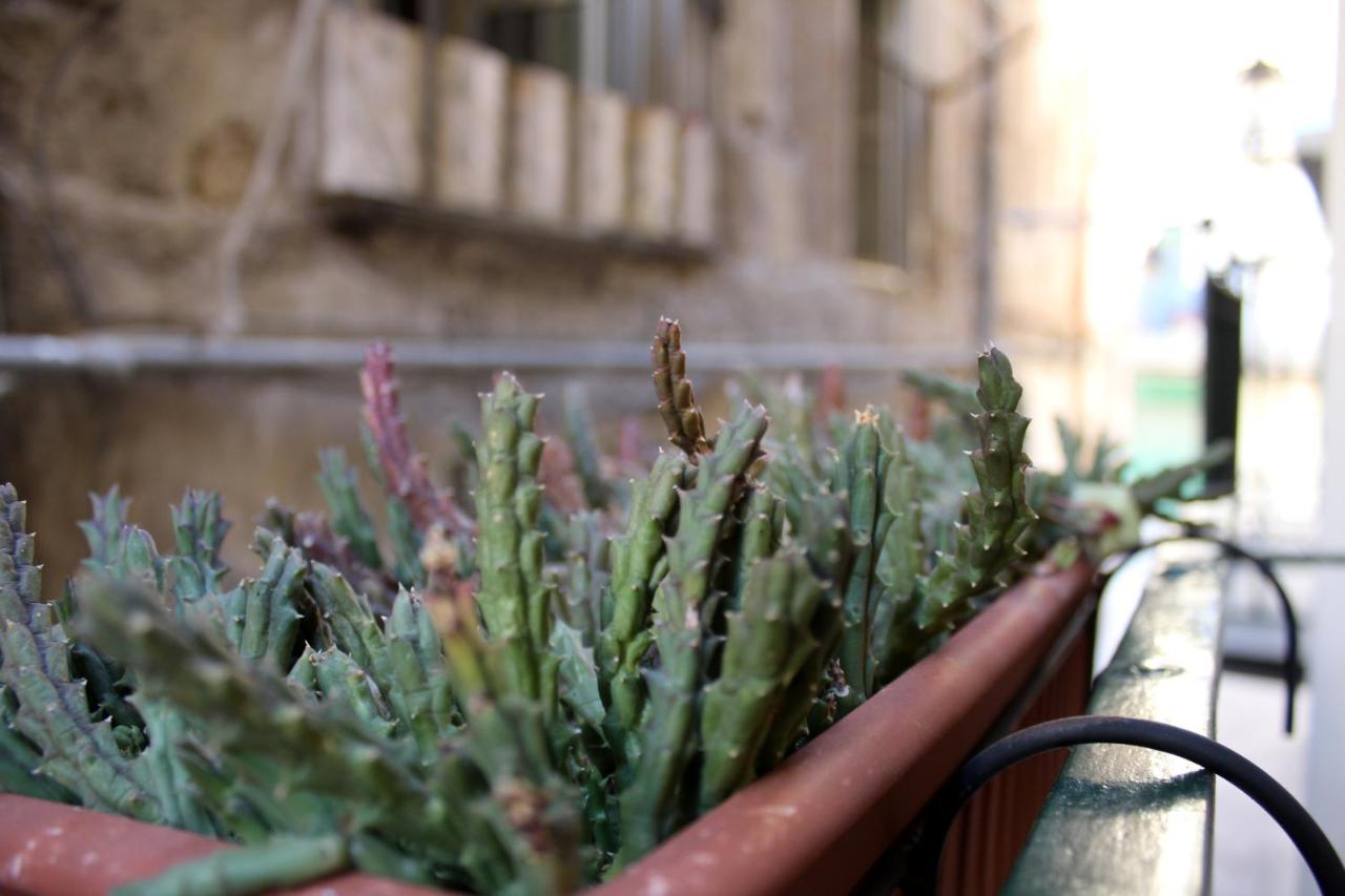 Camerini di Santa Cecilia - B&B