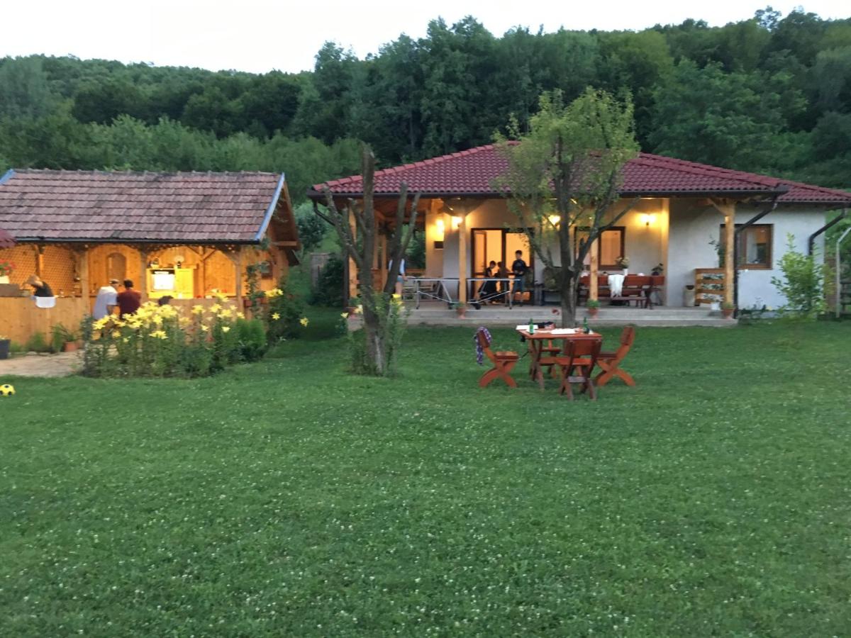 B&B Ampoița - Căsuța de sub pădure - Bed and Breakfast Ampoița