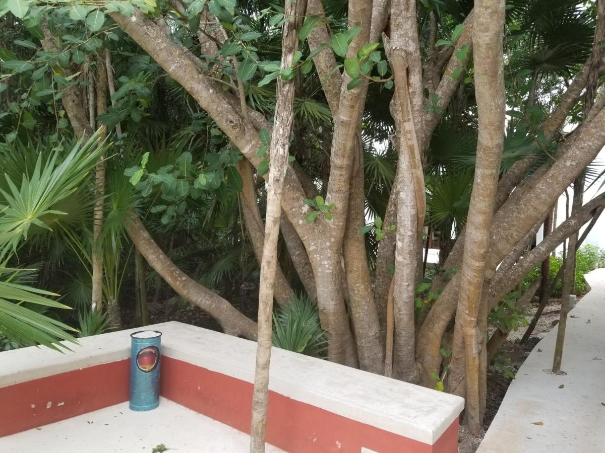 Casa Azul - B&B Akumal