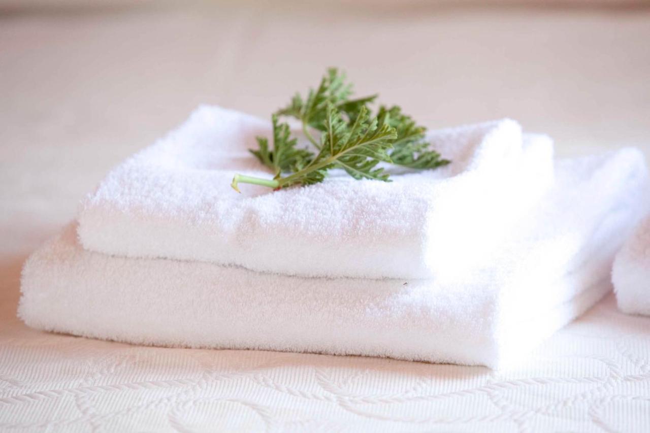 Studio mit Gartenblick (2 Erwachsene)