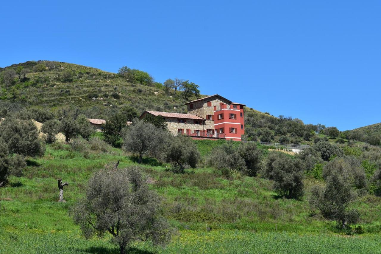 Casale il Cilento - B&B Castellabate