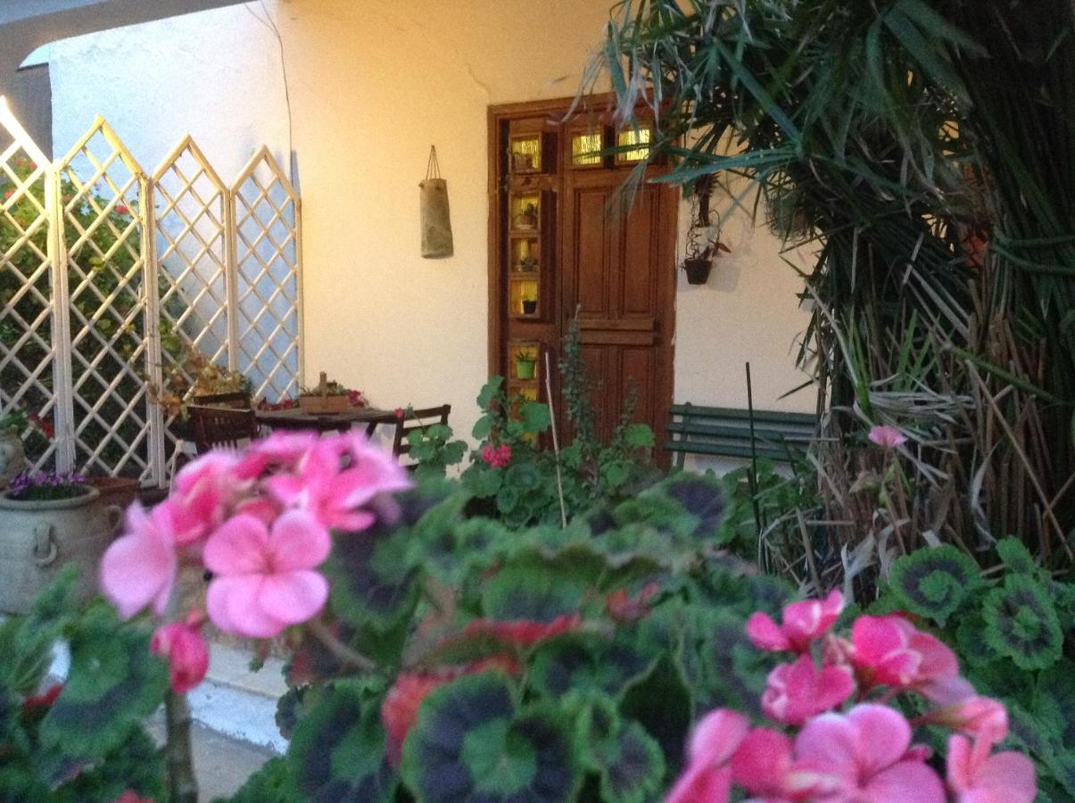 B&B Agrigento - b&b Il giardino degli agrumi - Bed and Breakfast Agrigento