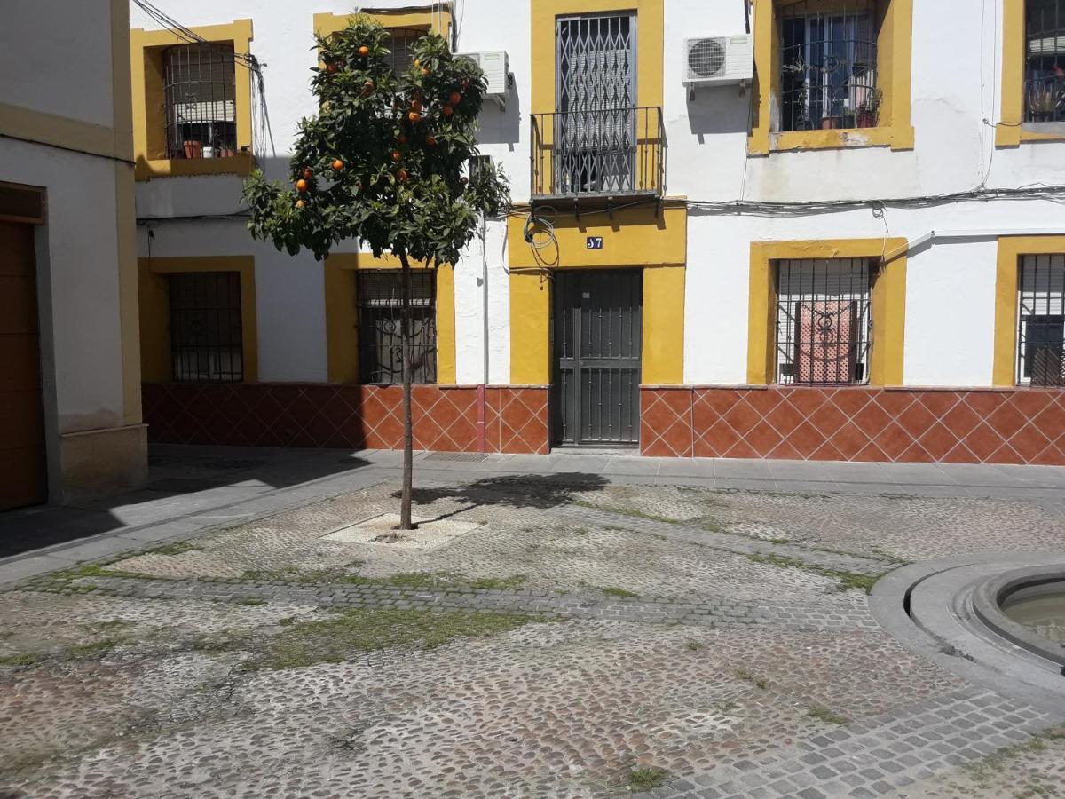 Sleep & Shower in a typical district - B&B