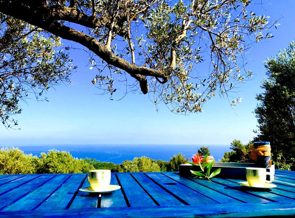 Il Caprarizzo - B&B Palinuro