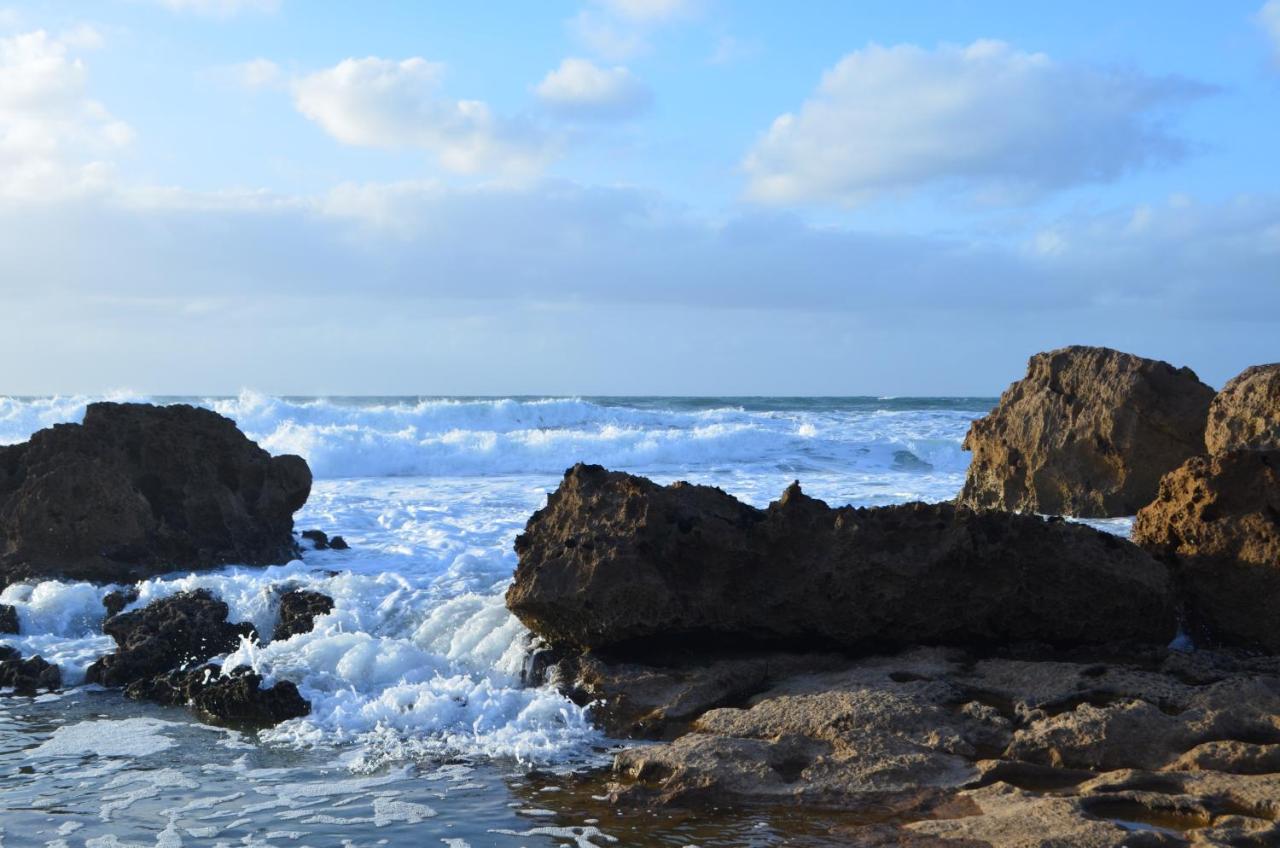 Appartamento - Piano Terra