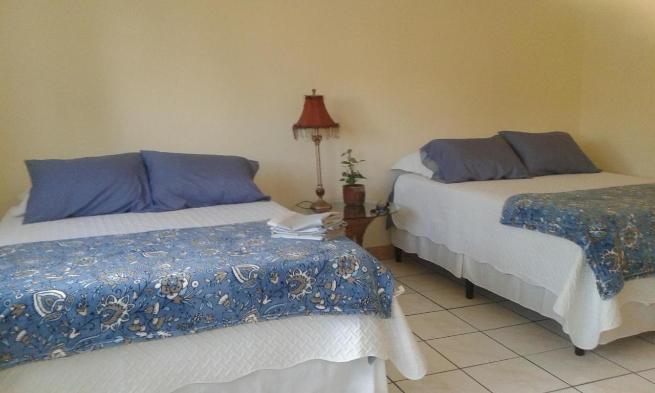 B&B Guatemala City - lindo apartamento - Bed and Breakfast Guatemala City