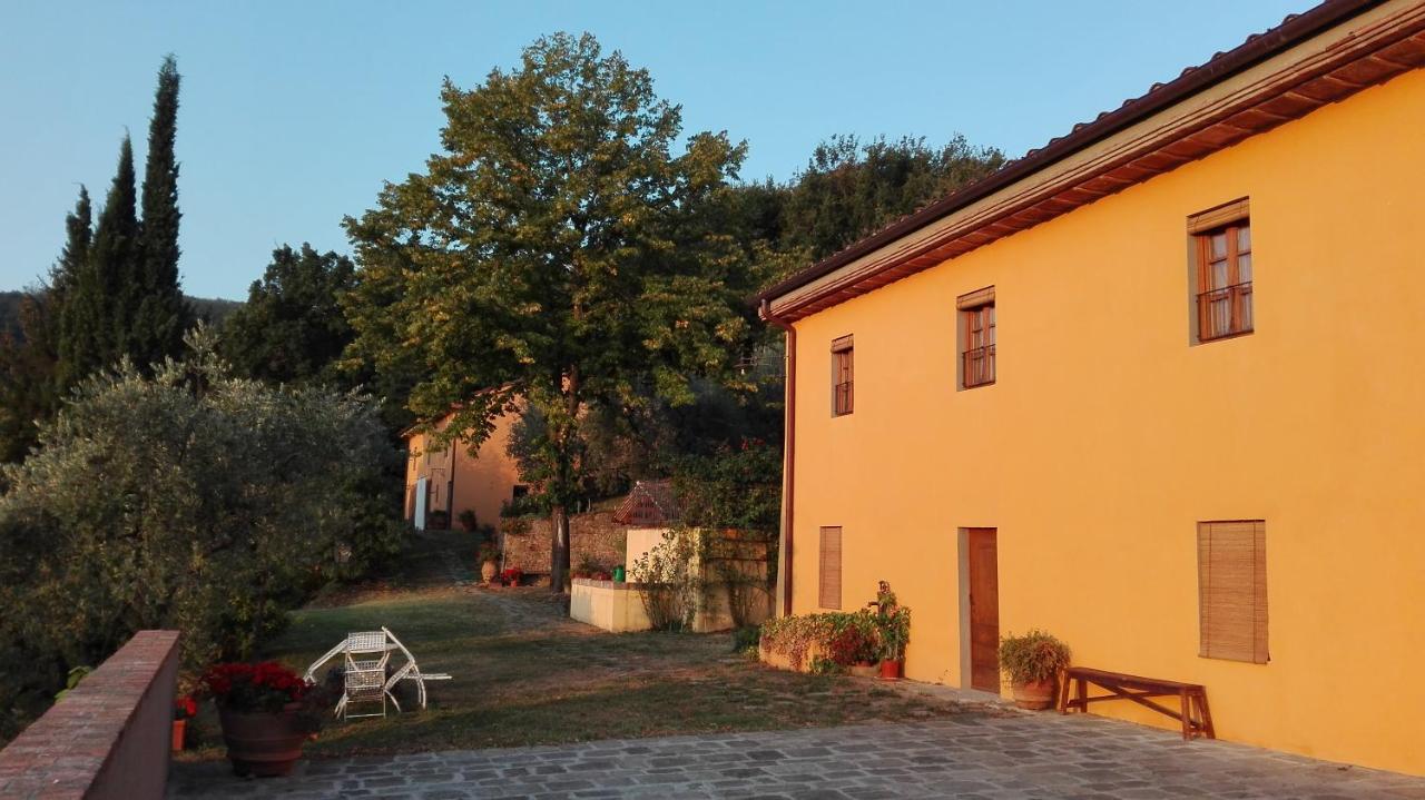 Agriturismo La Romagnana - B&B