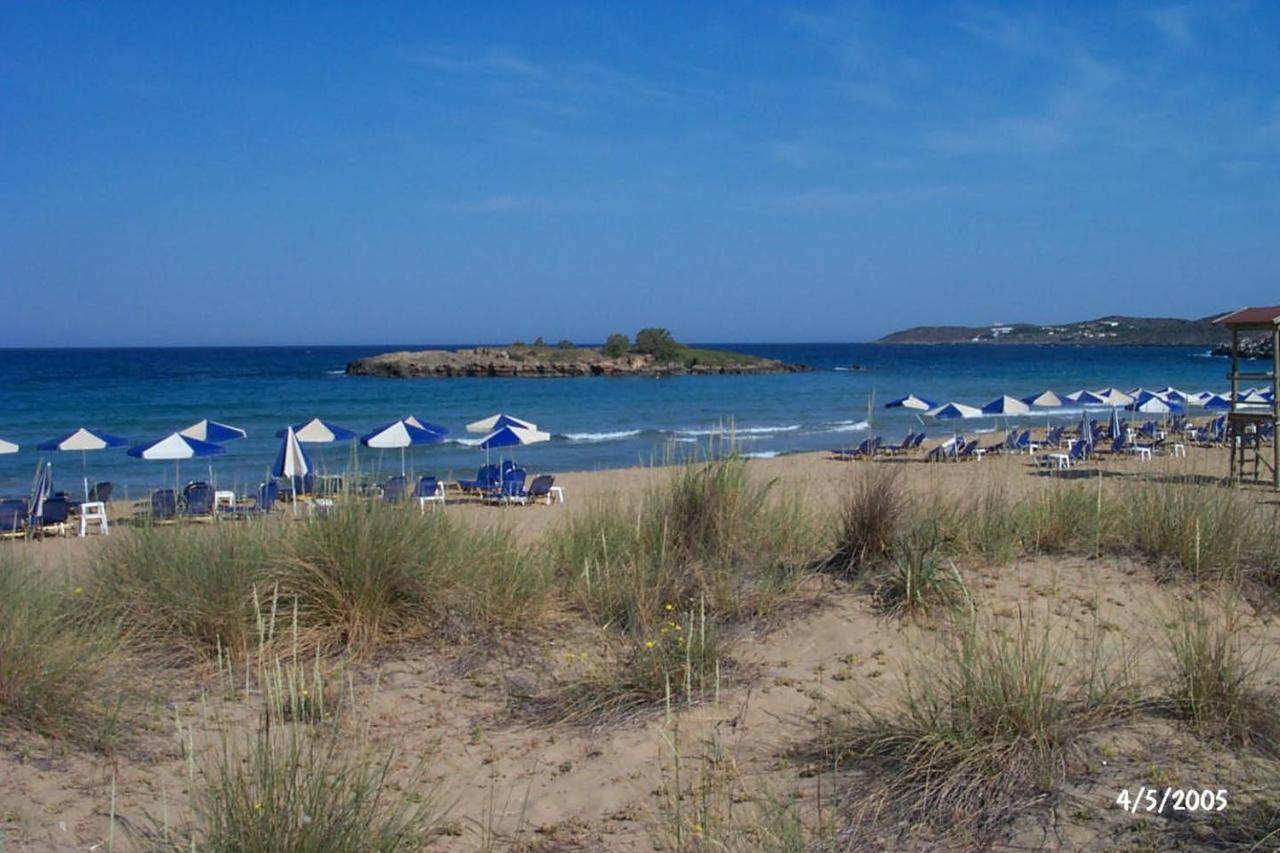 Comfortable House near Chania - B&B