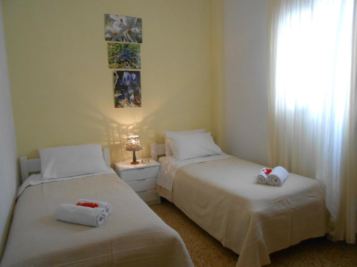 Apartment - Erdgeschoss