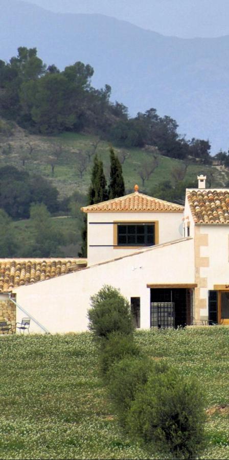 Habitación Individual con vista panorámica
