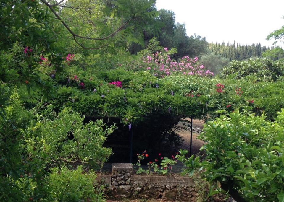 Gentilini Retreat - B&B Argostoli