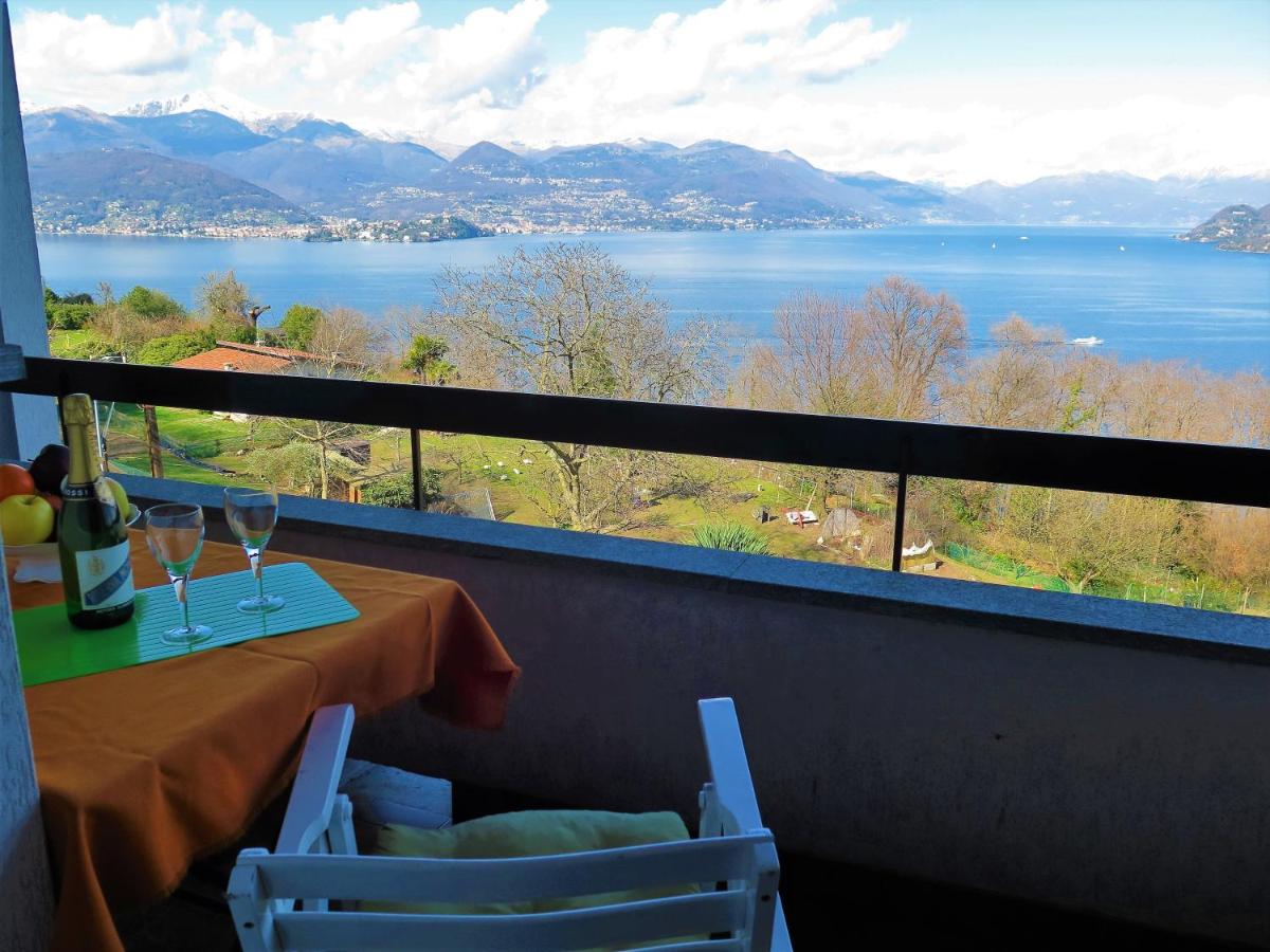 Thommy - B&B Stresa