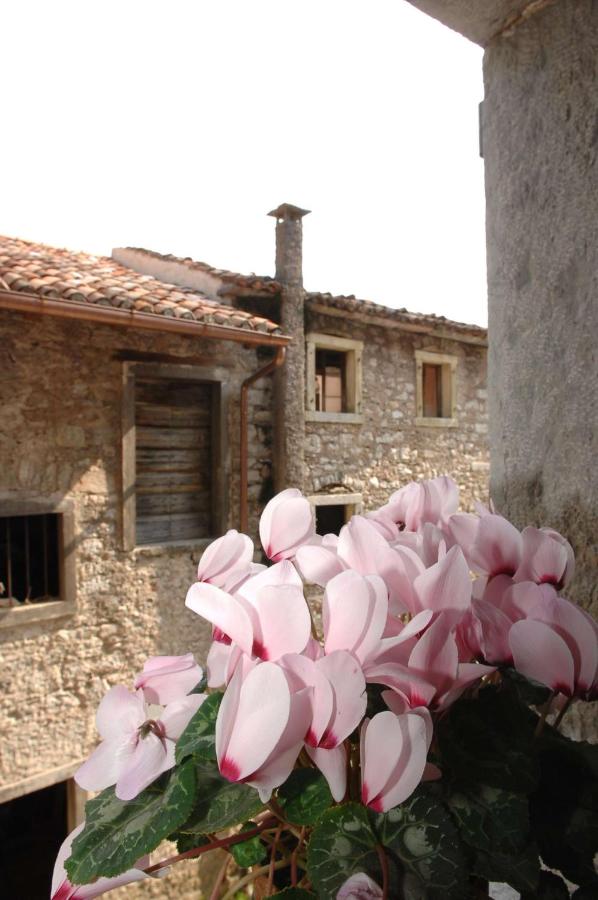 Albergo Diffuso Valcellina e Val Vajont in Erto - B&B