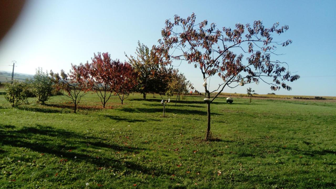 Gite de Marcureau - B&B