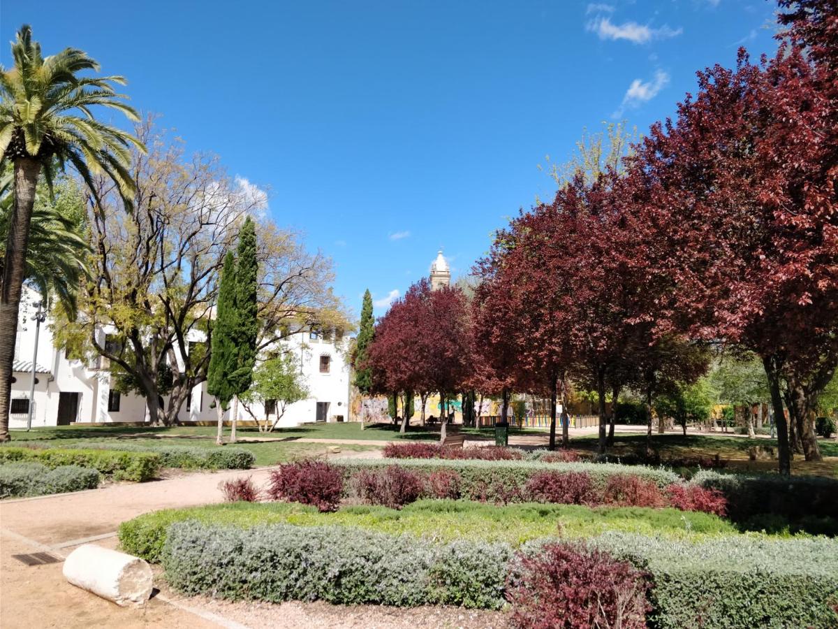 El rincón de Orive - Chambres d’hôtes Cordoue