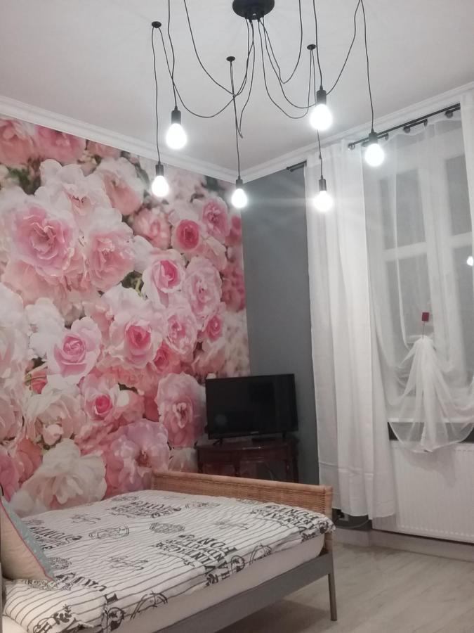 VINTAGE - ROSE APARTAMENT - Ferienwohnung Thorn