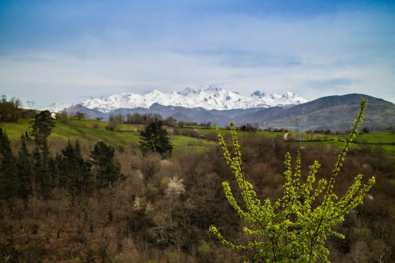 B&B Cangas de Onis - Hotel Montañas de Covadonga - Bed and Breakfast Cangas de Onis