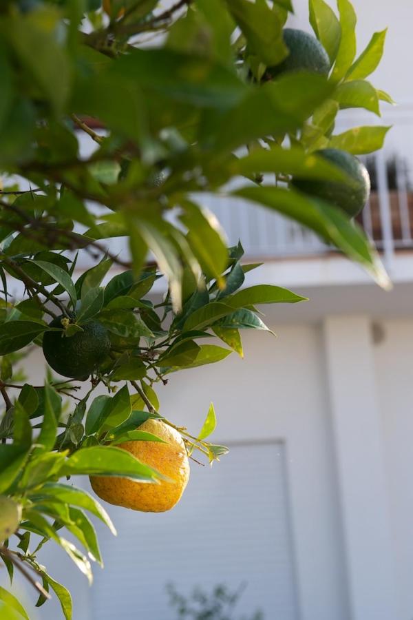 La Casa di Rinaldo B&B - Ferienwohnung