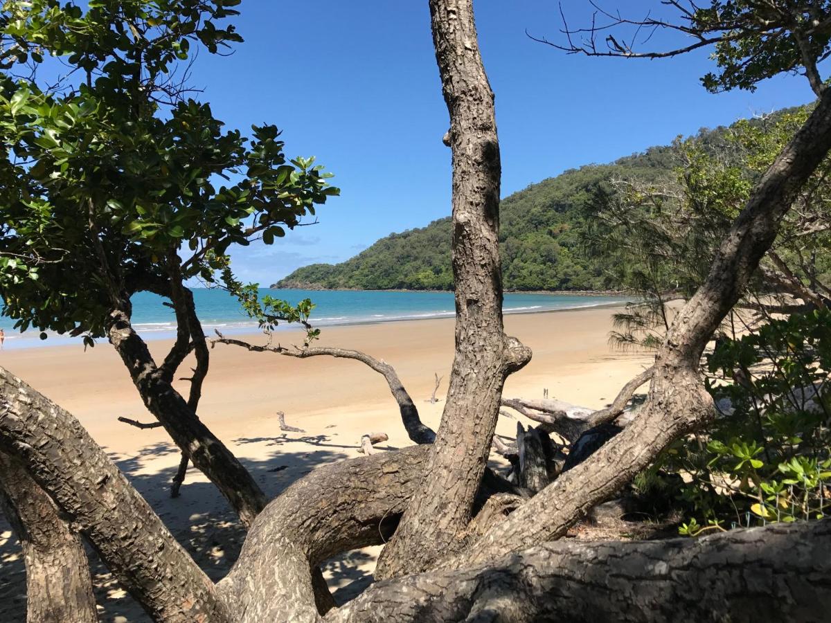 Daintree Magic Holiday House - Chambres d’hôtes